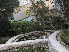 -活水公园