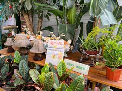 -佟小曼手工茶饼坊(鼓浪屿1店)