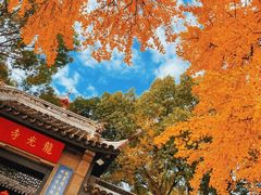 -湖南常德牛肉米粉(十梓街店)