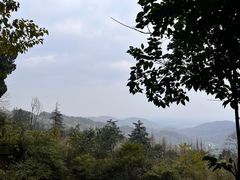 -凤栖山