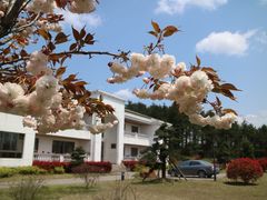 -四明山国家森林公园