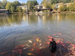 -春晖园度假酒店温泉