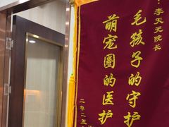 -宠爱国际动物医院·消化内科·心肾内科·ISFM猫友好(望京店)