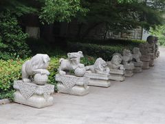 -白马涧龙池景区