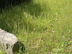 -金钉子远古世界景区