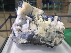 -湖南省地质博物馆