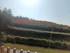 -迪茵湖田家舍生态农场