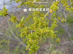 -京东石林峡风景区