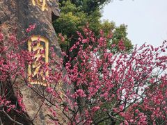 -无锡梅园公园