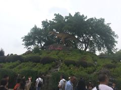 -自贡恐龙博物馆