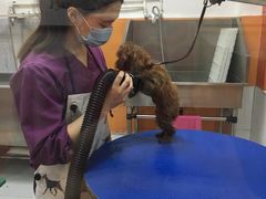 -惠康宠物医院(华能路店)