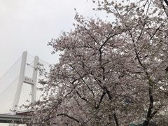 -上海市黄浦区卢湾第一中心小学