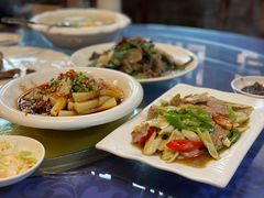 -龙翔山庄雷鸡肉(青城后山泰安古镇店)