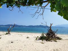 -东平洲海岸公园