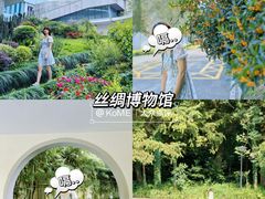 -杭州奥体中心-体育场