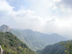 -大岭沟猕猴桃谷风景区