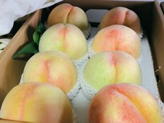 -南汇新场正宗水蜜桃采摘