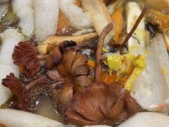 -菌之家·专业纯野生菌火锅·特色炒菌