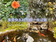 -仙岳公园