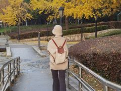 -苏州河梦清园环保主题公园