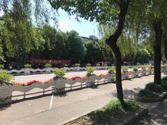 -胜华驾校·小猫学车(银都店)