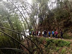 -新安江山水画廊风景区