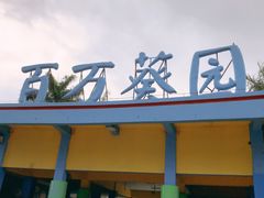 -百万葵园