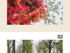 -百林公园-两江幸福广场