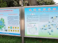 -晓港公园