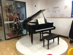 -珠江钢琴艺术中心(文一路店)
