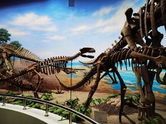 -延庆地质公园博物馆