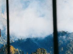 -云海肴·云南小炒·汽锅鸡(天津国金汇店)