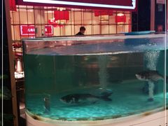 -辣得叫湘菜(四明店)