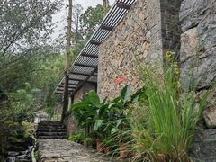 -MOJ coffee(瓯海泽雅水碓坑店)