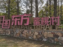 -田园东方蜜桃村的田野营地