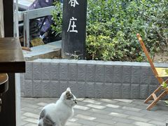 -春庄咖啡SpringHues(钟楼小区店)