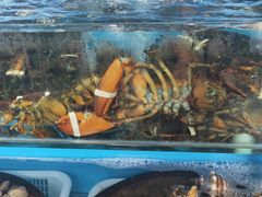-港畔赶海蒸汽海鲜烧烤自助(仙螺岛店)