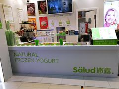 -Salud撒露欧洲冻酸奶(五道口购物中心店)
