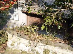 -宁波市保国寺古建筑博物馆