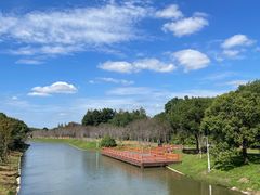 -上海海湾国家森林公园