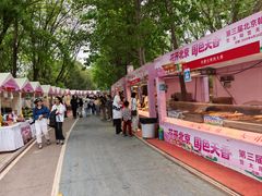 -太阳宫公园