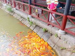 -武汉紫薇都市田园