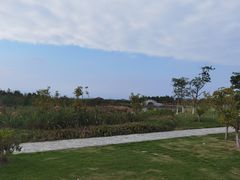 -漩门湾国家湿地公园