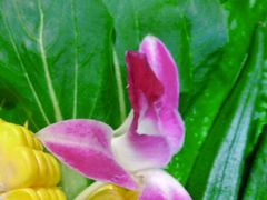 -牛村来人潮汕牛肉火锅(西单店)