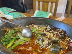 -都江堰石锅鱼