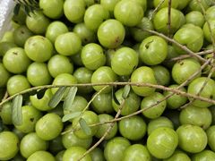 -南坛综合农贸市场