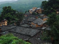 -杨家堂村