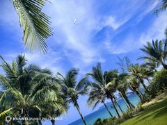 -三亚海棠湾喜来登度假酒店