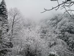 -九峰山