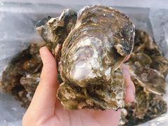 -小资小味(东门店)